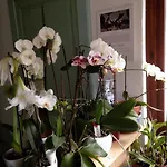 Il Cortile Di Mamma Mia *