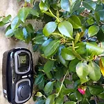 Il Cortile Di Mamma Mia Pisano
