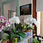 Il Cortile Di Mamma Mia