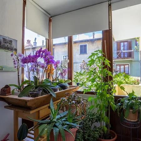Apartament Il Cortile Di Mamma Mia *