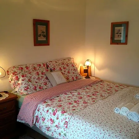Apartment Il Cortile Di Mamma Mia Pisano