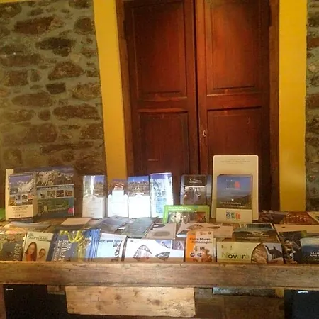 Il Cortile Di Mamma Mia * Pisano