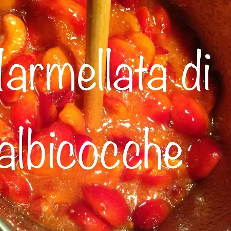 Nocleg ze śniadaniem Mamma Mia Pisano