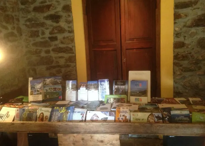 Il Cortile Di Mamma Mia * Pisano