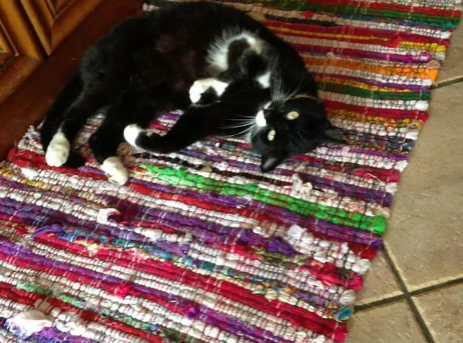 Il Cortile Di Mamma Mia *