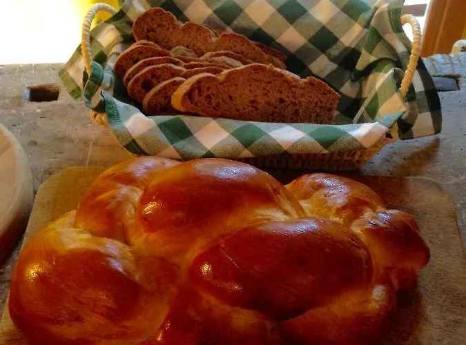 Il Cortile Di Mamma Mia Appartement Pisano