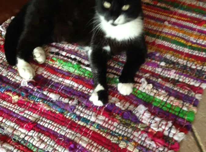 Il Cortile Di Mamma Mia